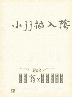 小jj插入阴道