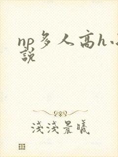 np多人高h小说