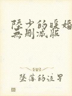 陆少的暖婚新妻无删减版