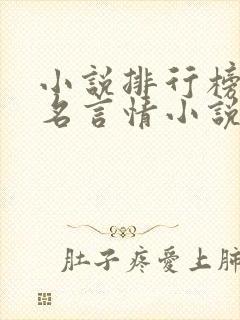 小说排行榜前十名言情小说