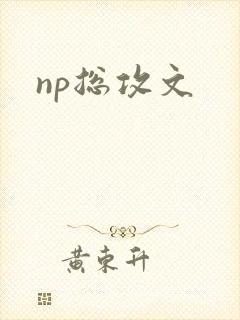 np总攻文
