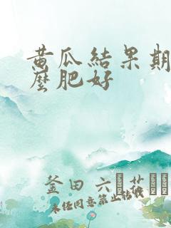 黄瓜结果期施什么肥好 黄瓜结果期施什么肥好