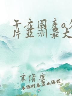 午夜国产a久久片亚洲最大