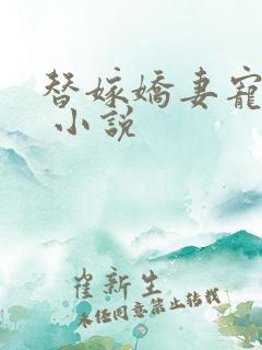 替嫁娇妻宠上瘾 小说