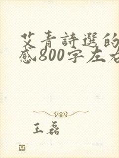 艾青诗选的读后感800字左右