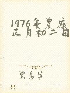 1976年农历正月初二日卯时生五行八字
