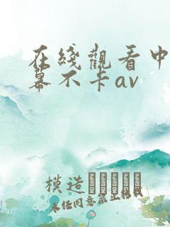 在线观看中文字幕不卡av