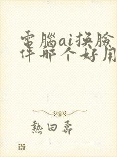 电脑ai换脸软件哪个好用 电脑ai换脸软件哪个好用