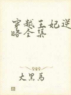 穿越王妃逆袭攻略全集 穿越王妃逆袭攻略全集