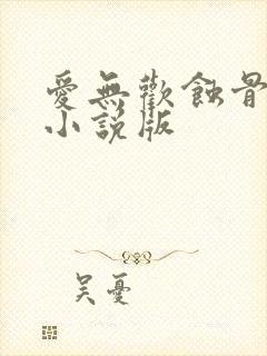 爱无欢蚀骨惊情小说版 爱无欢蚀骨惊情小说版