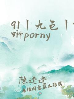 91丨九色丨蝌蚪porny