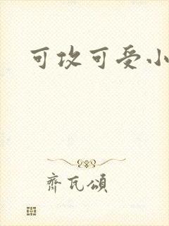 可攻可受小说