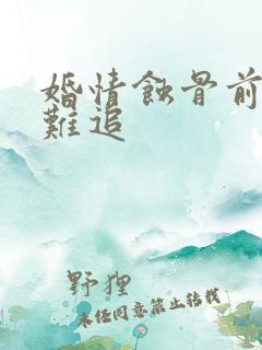 婚情蚀骨前妻太难追