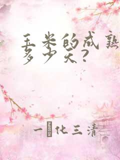 玉米的成熟期是多少天?