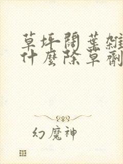 草坪阔叶杂草用什么除草剂