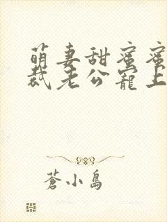 萌妻甜蜜蜜:总裁老公宠上瘾 萌妻甜蜜蜜:总裁老公宠上瘾