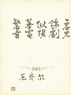 繁华似锦免费观看电视剧免费观看全集