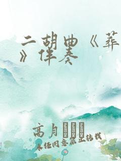 二胡曲《葬花吟》伴奏 二胡曲《葬花吟》伴奏