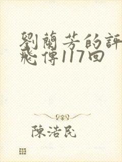 刘兰芳的评书岳飞传117回