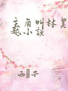 主角叫林昊的穿越小说