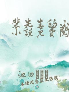 裴先生的小甜妻小说免费阅读