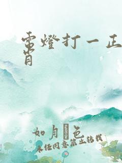 电灯打一正确生肖
