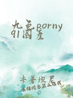九色porny91国产