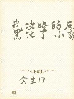 我攻略的反派都黑化了 小说
