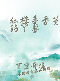 红楼梦香菱是谁的丫鬟