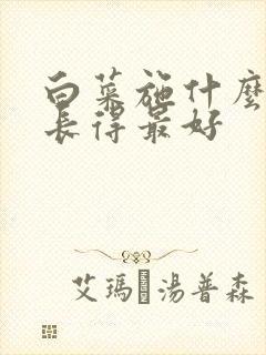 白菜施什么肥料长得最好