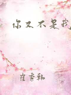 你又不是我的谁