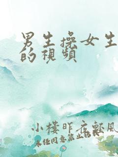 男生操女生阴道的视频