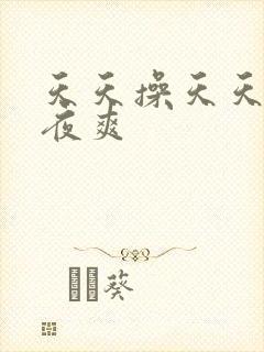 天天操天天日夜夜爽