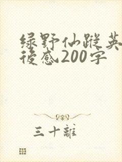绿野仙踪英语读后感200字