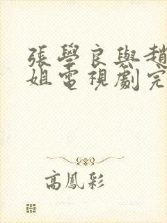 张学良与赵四小姐电视剧完整版
