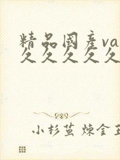 精品国产va久久久久久久果冻