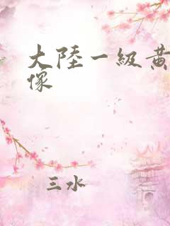 大陆一级黄色录像
