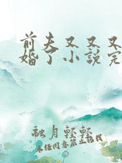 前夫又又又想复婚了小说完整版