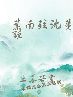 叶南弦沈蔓歌小说
