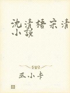 沈清梧宋清和的小说