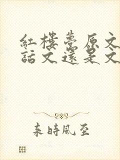 红楼梦原文是白话文还是文言文
