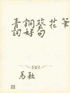 青铜葵花笔记好词好句