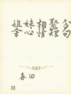 姐妹相聚分开不舍心情短句