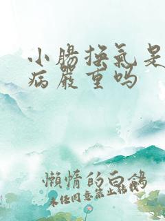 小肠换气是什么病严重吗