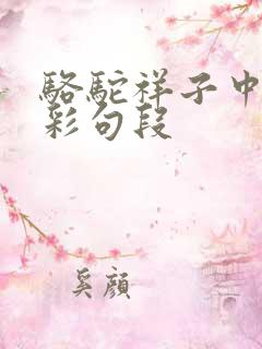 骆驼祥子中的精彩句段