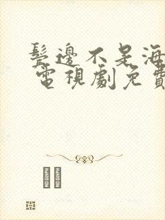 鬓边不是海棠红 电视剧免费观看全集