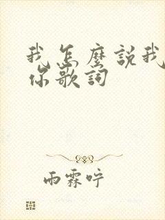 我怎么说我不爱你歌词