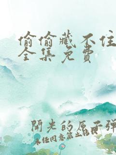 偷偷藏不住漫剧全集免费