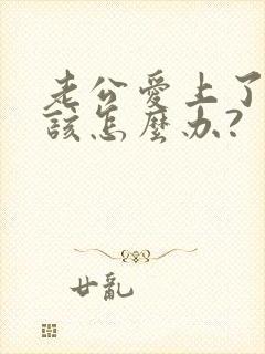 老公爱上了别人该怎么办? 老公爱上了别人该怎么办?