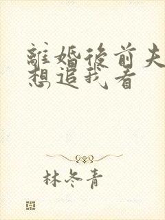 离婚后前夫总是想追我看 离婚后前夫总是想追我看